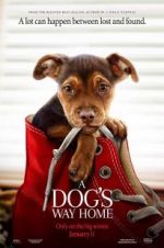 Watch A Dog's Way Home 9movies