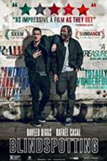 Watch Blindspotting 9movies