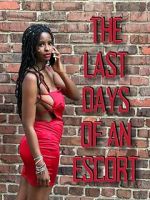 Watch The Last Days of an Escort 9movies