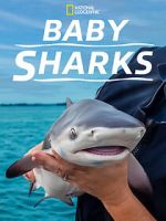 Watch Baby Sharks 9movies