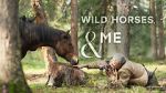 Watch Wild Horses, the Rockies and Me (TV Special 2025) 9movies