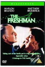 Watch The Freshman 9movies