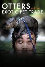 Watch Otters and the Exotic Pet Trade 9movies