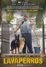 Watch Dogwashers 9movies