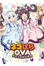 Watch Nekopara OVA Extra 9movies