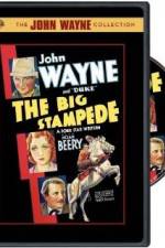 Watch The Big Stampede 9movies