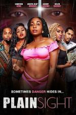 Watch Plain Sight 9movies