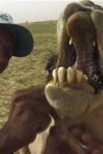 Watch With the Nomads 9movies