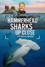 Watch Hammerhead Sharks Up Close with Bertie Gregory 9movies