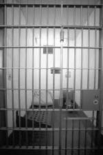 Watch Serving Life 9movies