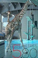 Watch 580 mtres 9movies