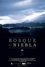 Watch The Cloud Forest 9movies