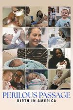 Watch Perilous Passage: Birth in America 9movies