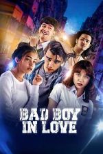Watch Bad Boy In Love 9movies