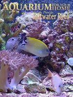Watch Aquarium for Your Home: Saltwater Reef 9movies