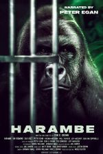 Watch Harambe 9movies
