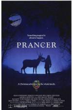 Watch Prancer 9movies