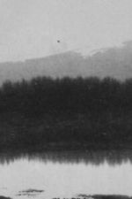 Watch Ch\'an 9movies