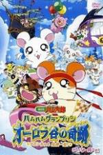 Watch Hamtaro Movie 3: Ham Ham Grand Prix 9movies