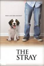 Watch The Stray 9movies