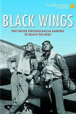 Watch Black Wings 9movies