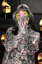 Watch The 63rd Annual Grammy Awards 9movies