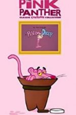 Watch Pink Daddy 9movies