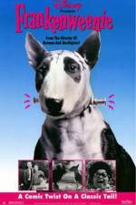 Watch Frankenweenie 9movies
