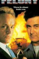 Watch Felony 9movies