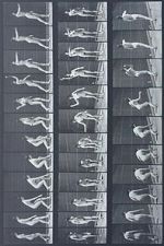 Watch Woman Throwing Baseball 9movies