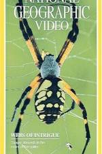Watch National Geographic's Webs of Intrigue 9movies