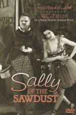 Watch Sally of the Sawdust 9movies