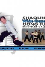 Watch Gong fu xiao zi 9movies