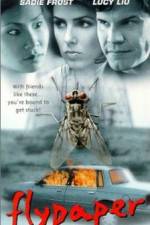 Watch Flypaper 9movies