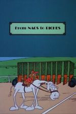 Watch From Nags to Riches 9movies