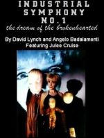 Watch Industrial Symphony No. 1: The Dream of the Brokenhearted 9movies