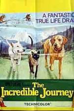 Watch The Incredible Journey 9movies