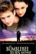 Watch The Bumblebee Flies Anyway 9movies
