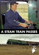 Watch A Steam Train Passes (Short 1974) 9movies