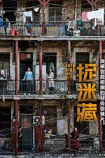 Watch Hide and Seek 9movies