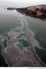 Watch National Geographic: Gulf Coast Disaster 9movies