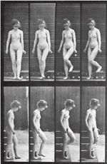 Watch Woman Walking Downstairs 9movies