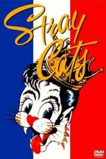 Watch Stray Cats Rock Paris 9movies