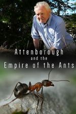 Watch Attenborough and the Empire of the Ants 9movies