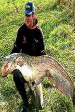 Watch Viking Expedition 9movies