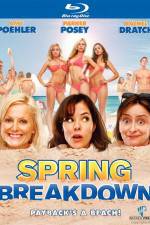 Watch Spring Breakdown 9movies