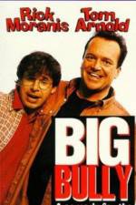 Watch Big Bully 9movies