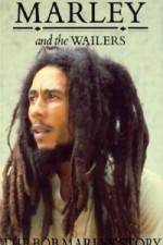 Watch Caribbean Nights 9movies