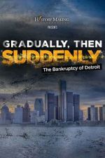 Watch Gradually, Then Suddenly: The Bankruptcy of Detroit 9movies