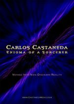 Watch Carlos Castaneda: Enigma of a Sorcerer 9movies